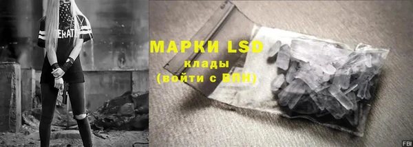индика Ладушкин