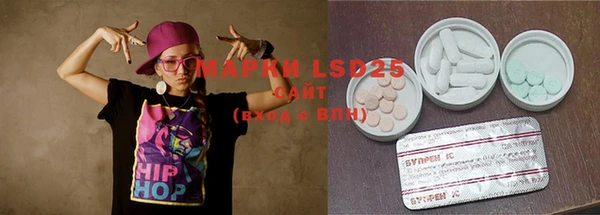 индика Ладушкин