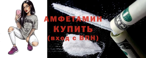 индика Ладушкин