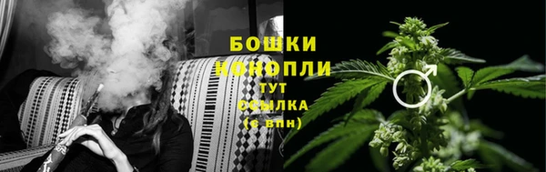 индика Ладушкин