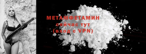 индика Ладушкин