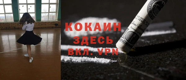 индика Ладушкин