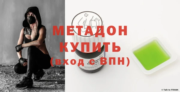 индика Ладушкин
