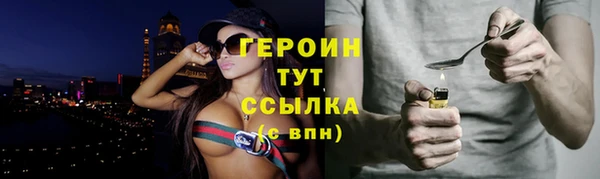 индика Ладушкин