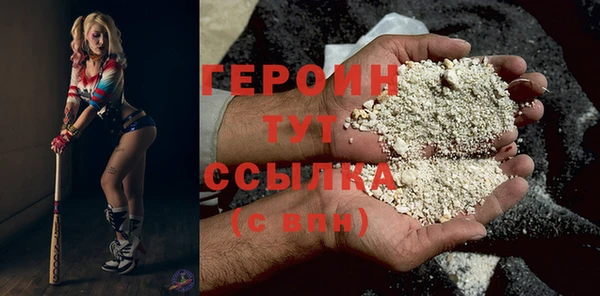 индика Ладушкин