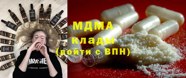индика Ладушкин