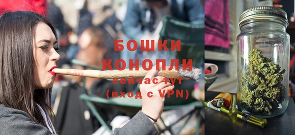 индика Ладушкин