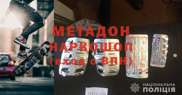 индика Ладушкин