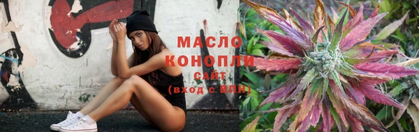 индика Ладушкин