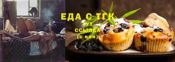 индика Ладушкин