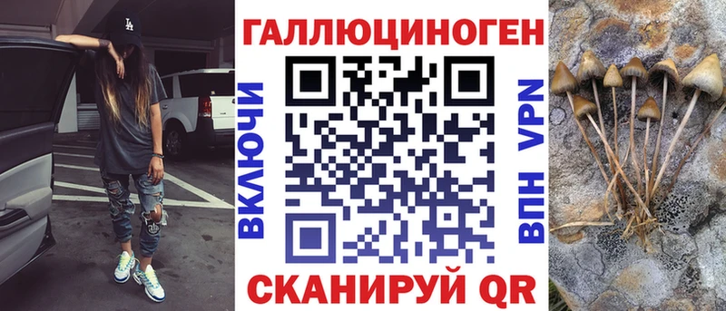 Купить закладки  Бобров  Галлюциногенные грибы MAGIC MUSHROOMS 